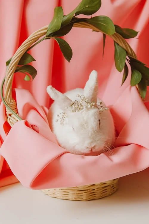 Join the SoSweet Virtual Easter Egg Hunt and Win Amazing Prizes! - SoSweet