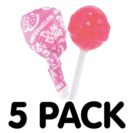 Dum Dums Lollipop Watermelon (5 Pack)