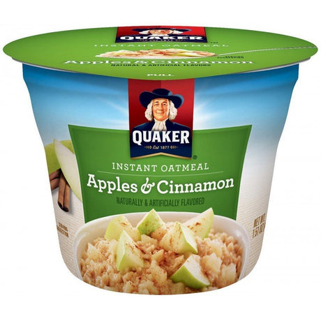 Quaker Oats Apple and Cinnamon Cup (54g)