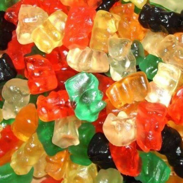 Sugar Free Gummy Bears (100g)
