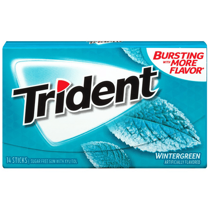Trident Gum Wintergreen (27g)